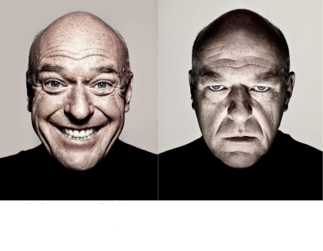 Hank Schrader Before & After